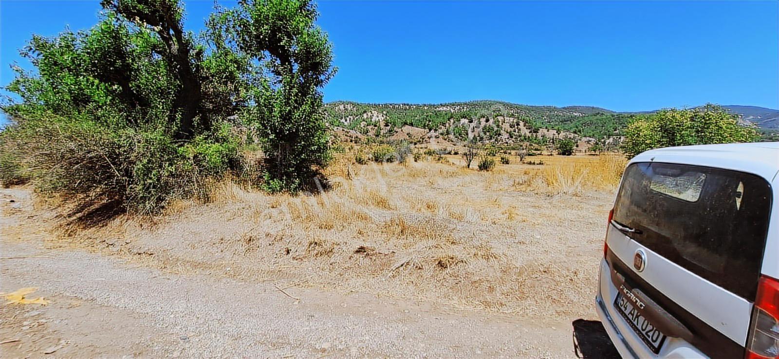Bolu Göynük Hasanlar Köyünde Resmi Yolu Olan Satılık 2416m2 Arsa — fotoğraf 9