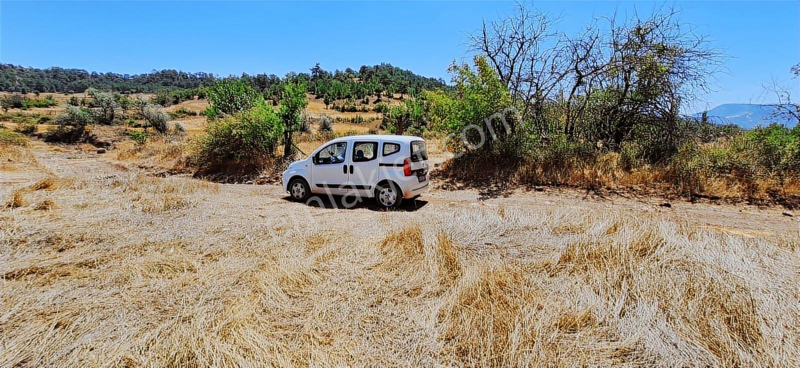 Bolu Göynük Hasanlar Köyünde Resmi Yolu Olan Satılık 2416m2 Arsa — fotoğraf 10