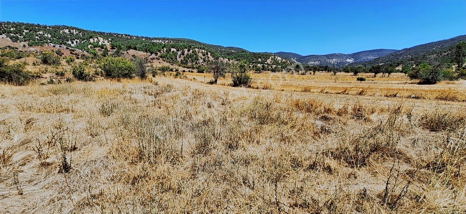 Bolu Göynük Hasanlar Köyünde Resmi Yolu Olan Satılık 2416m2 Arsa — fotoğraf 12