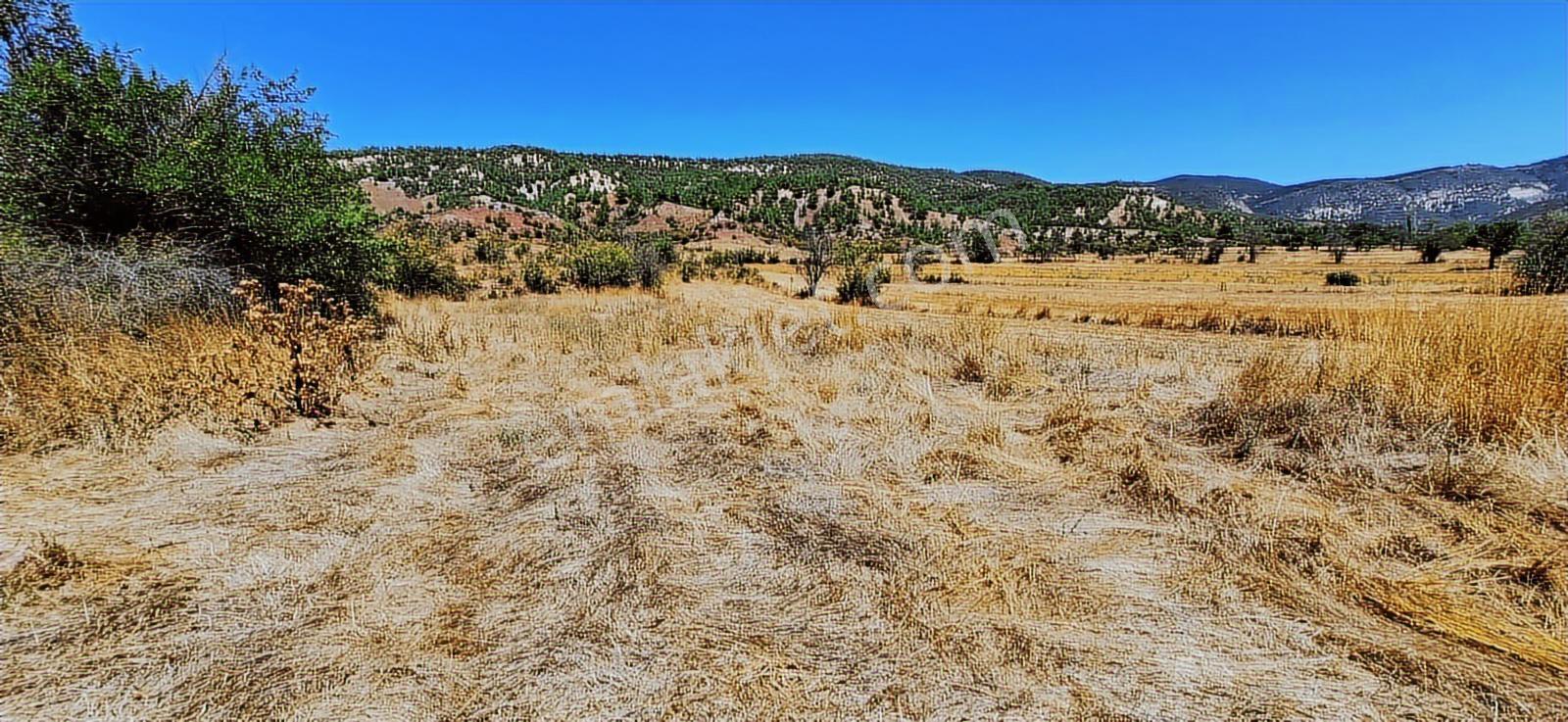Bolu Göynük Hasanlar Köyünde Resmi Yolu Olan Satılık 2416m2 Arsa — fotoğraf 13