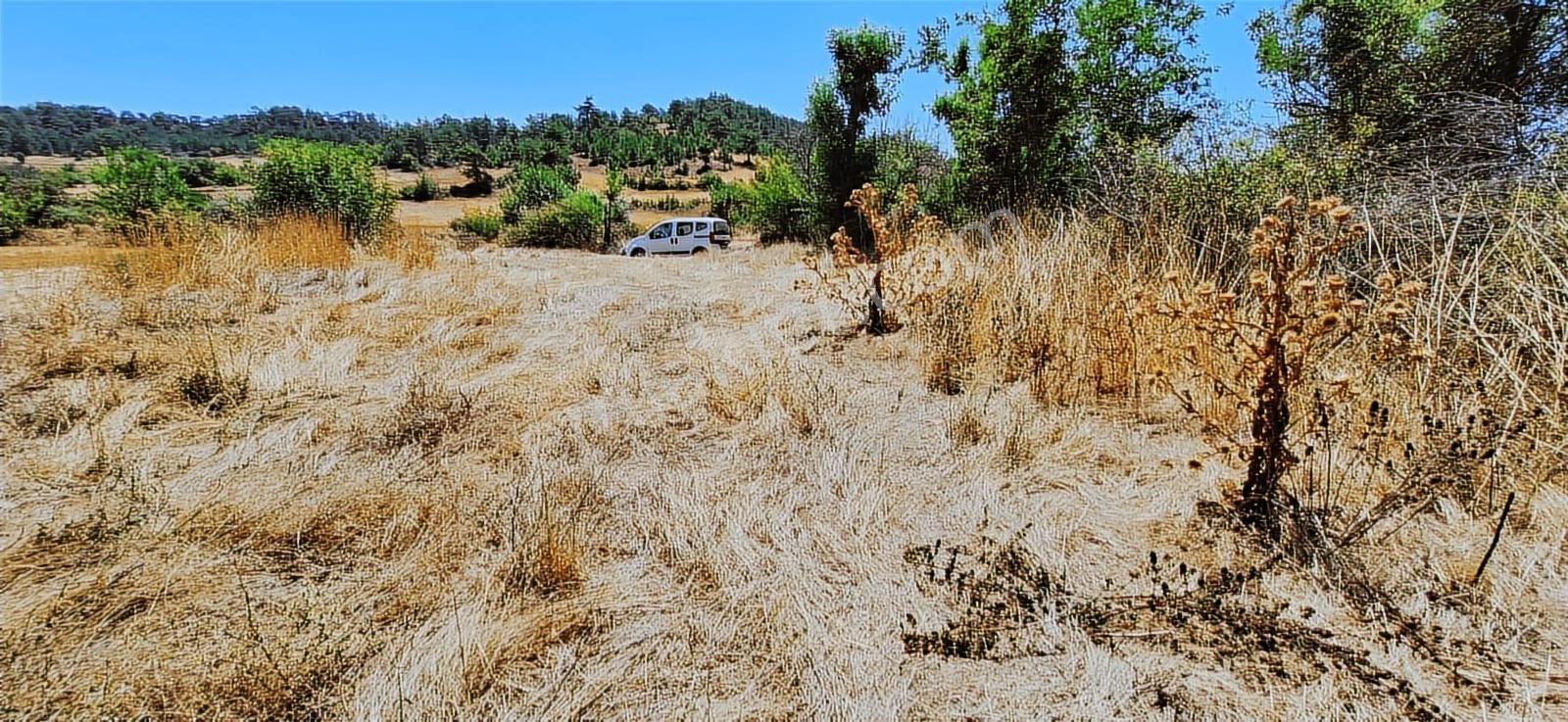 Bolu Göynük Hasanlar Köyünde Resmi Yolu Olan Satılık 2416m2 Arsa — fotoğraf 14