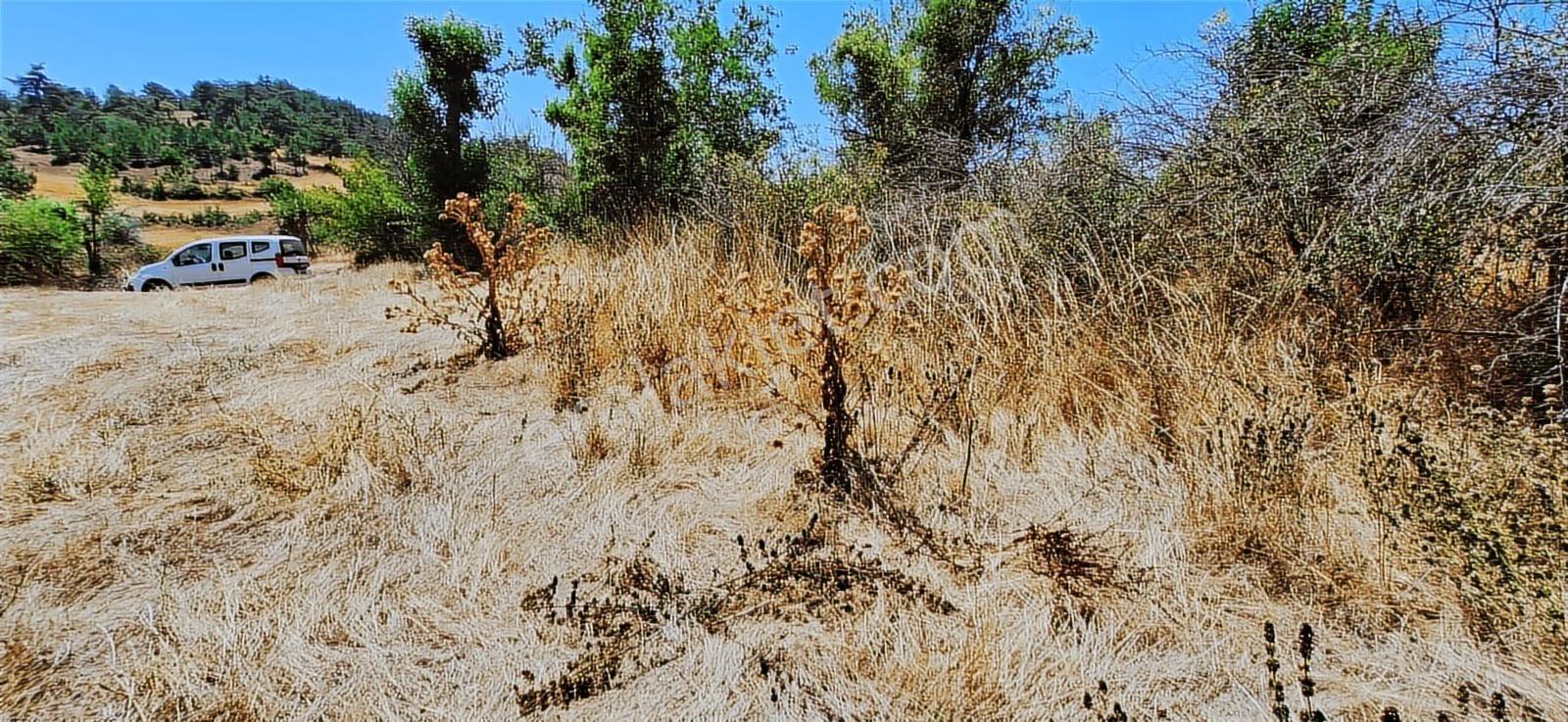 Bolu Göynük Hasanlar Köyünde Resmi Yolu Olan Satılık 2416m2 Arsa — fotoğraf 16