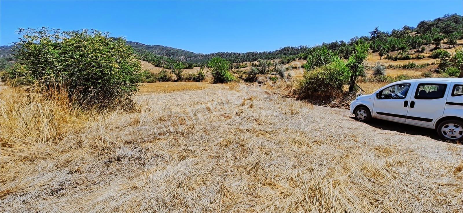 Bolu Göynük Hasanlar Köyünde Resmi Yolu Olan Satılık 2416m2 Arsa — fotoğraf 17