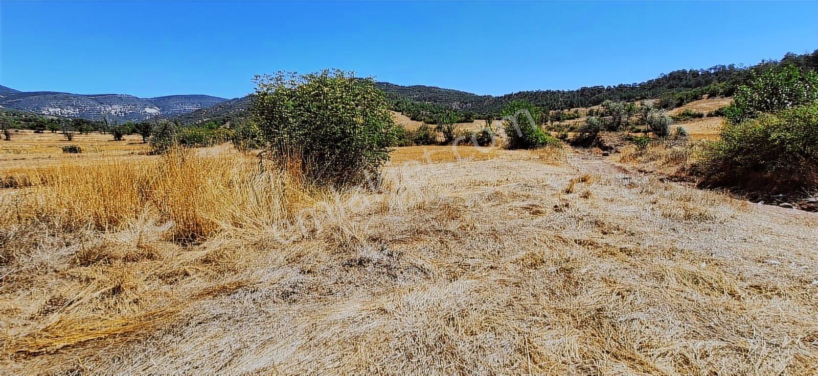 Bolu Göynük Hasanlar Köyünde Resmi Yolu Olan Satılık 2416m2 Arsa — fotoğraf 19