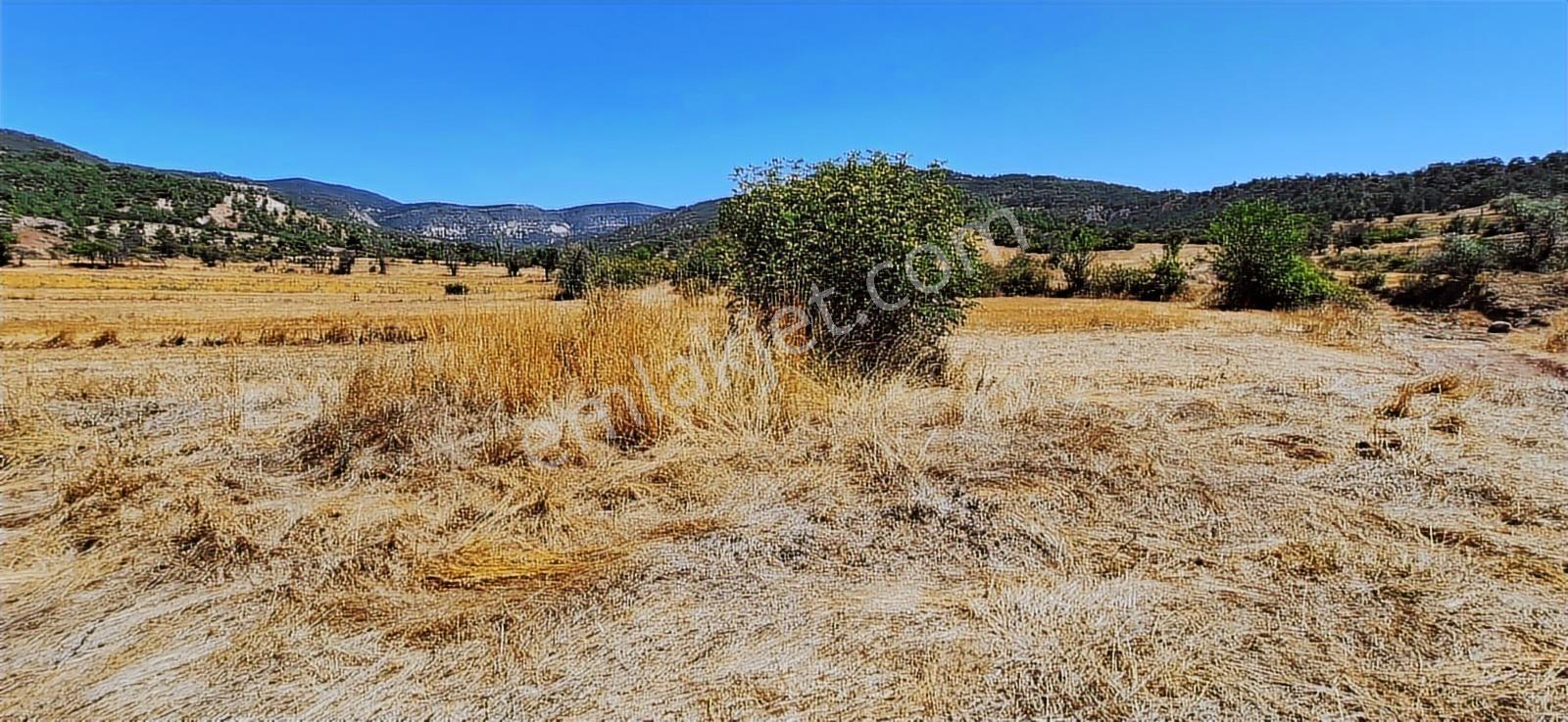 Bolu Göynük Hasanlar Köyünde Resmi Yolu Olan Satılık 2416m2 Arsa — fotoğraf 20