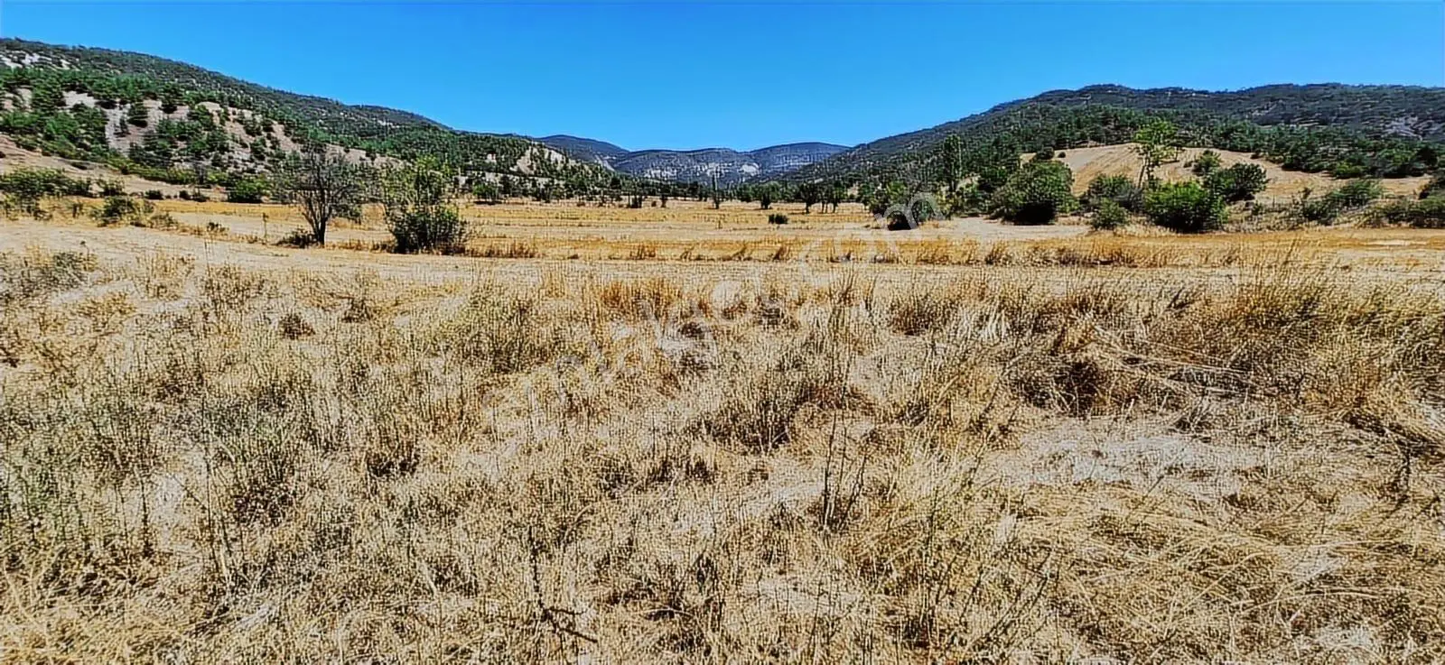 Bolu Göynük Hasanlar Köyünde Resmi Yolu Olan Satılık 2416m2 Arsa — fotoğraf 22