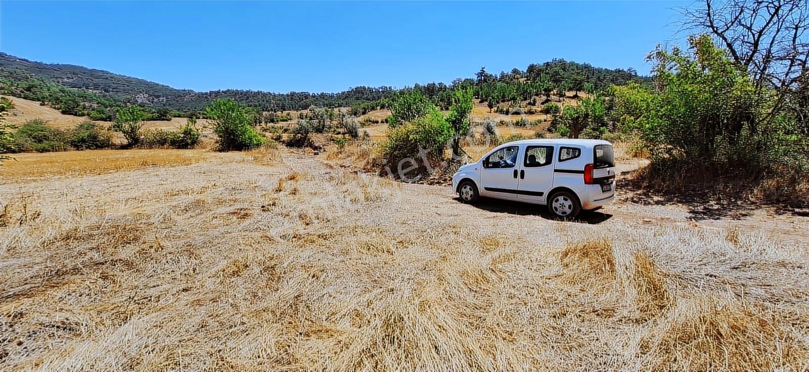 Bolu Göynük Hasanlar Köyünde Resmi Yolu Olan Satılık 2416m2 Arsa — fotoğraf 23
