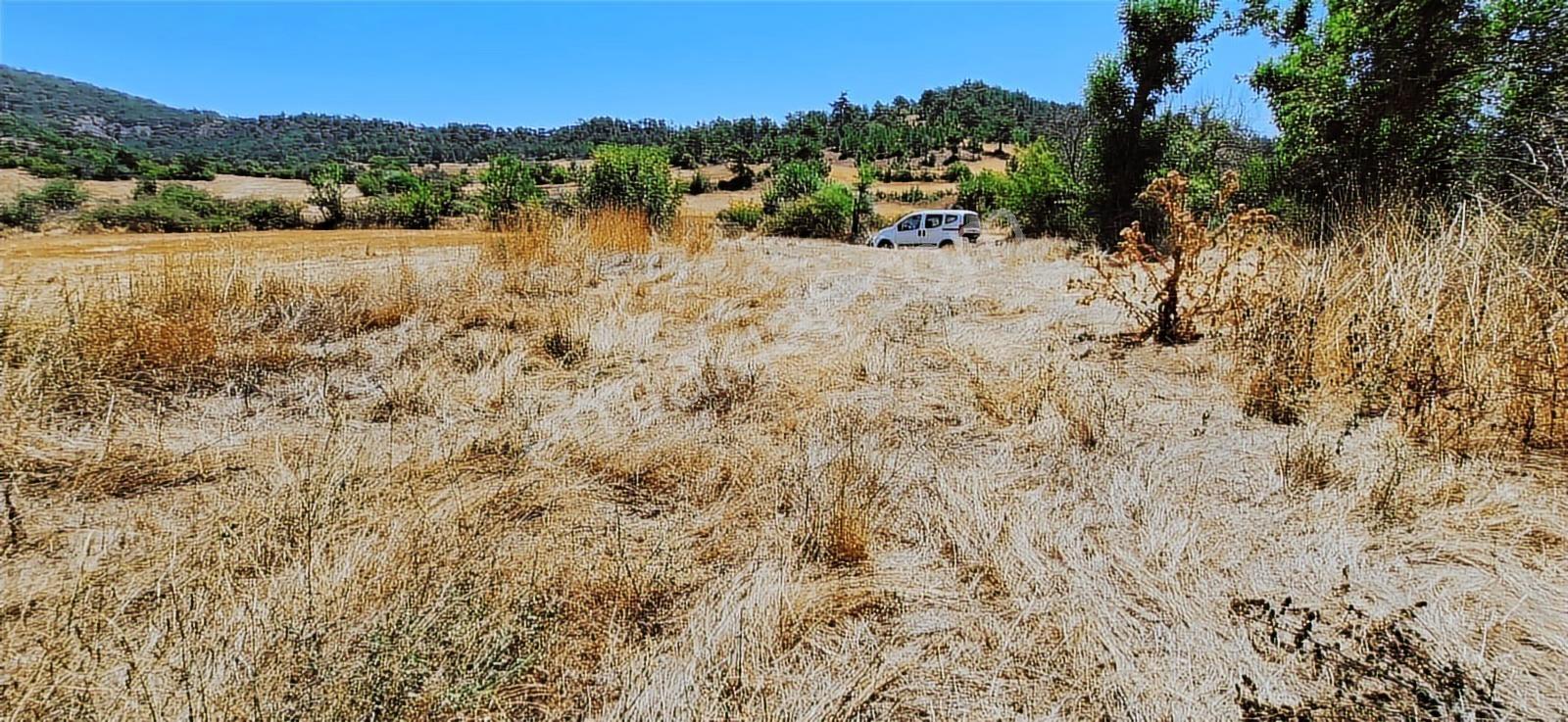 Bolu Göynük Hasanlar Köyünde Resmi Yolu Olan Satılık 2416m2 Arsa — fotoğraf 24