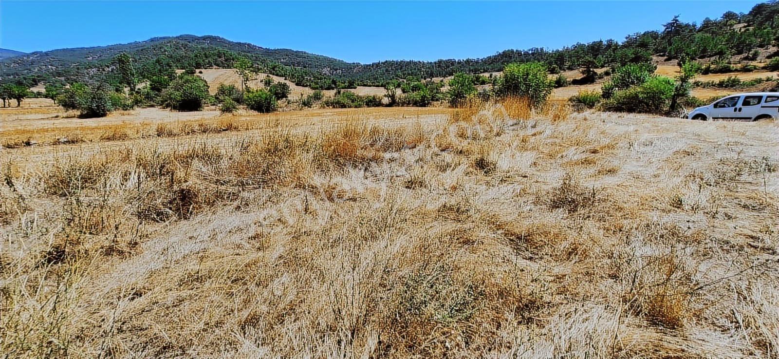 Bolu Göynük Hasanlar Köyünde Resmi Yolu Olan Satılık 2416m2 Arsa — fotoğraf 27