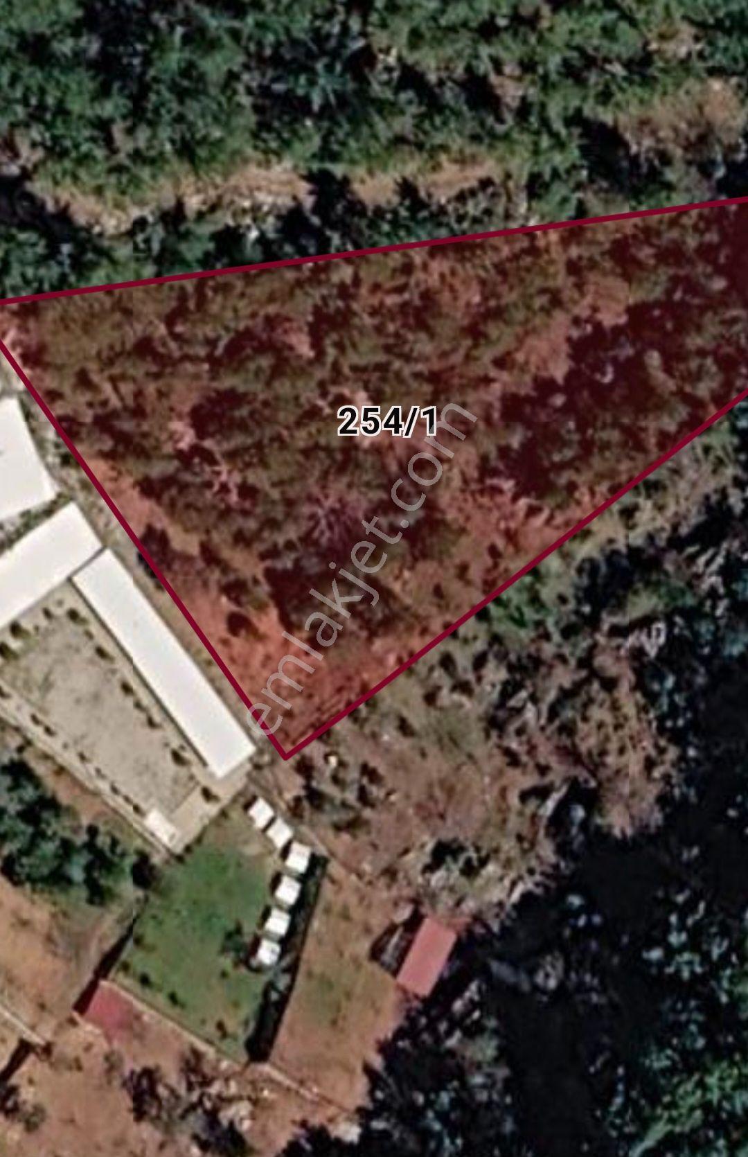 3726 M² Satılık Yerimiz — fotoğraf 3