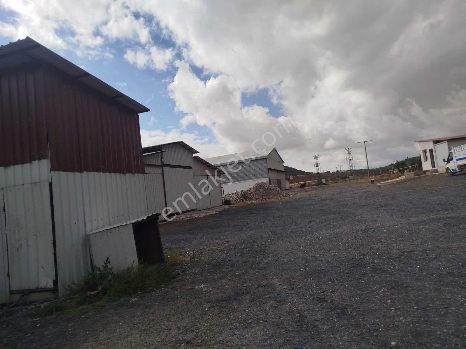 Özçelik'den 17 Dönüm Kapalı Açık Alanlı Ruhsatlı Çiflik Tesisi — fotoğraf 10