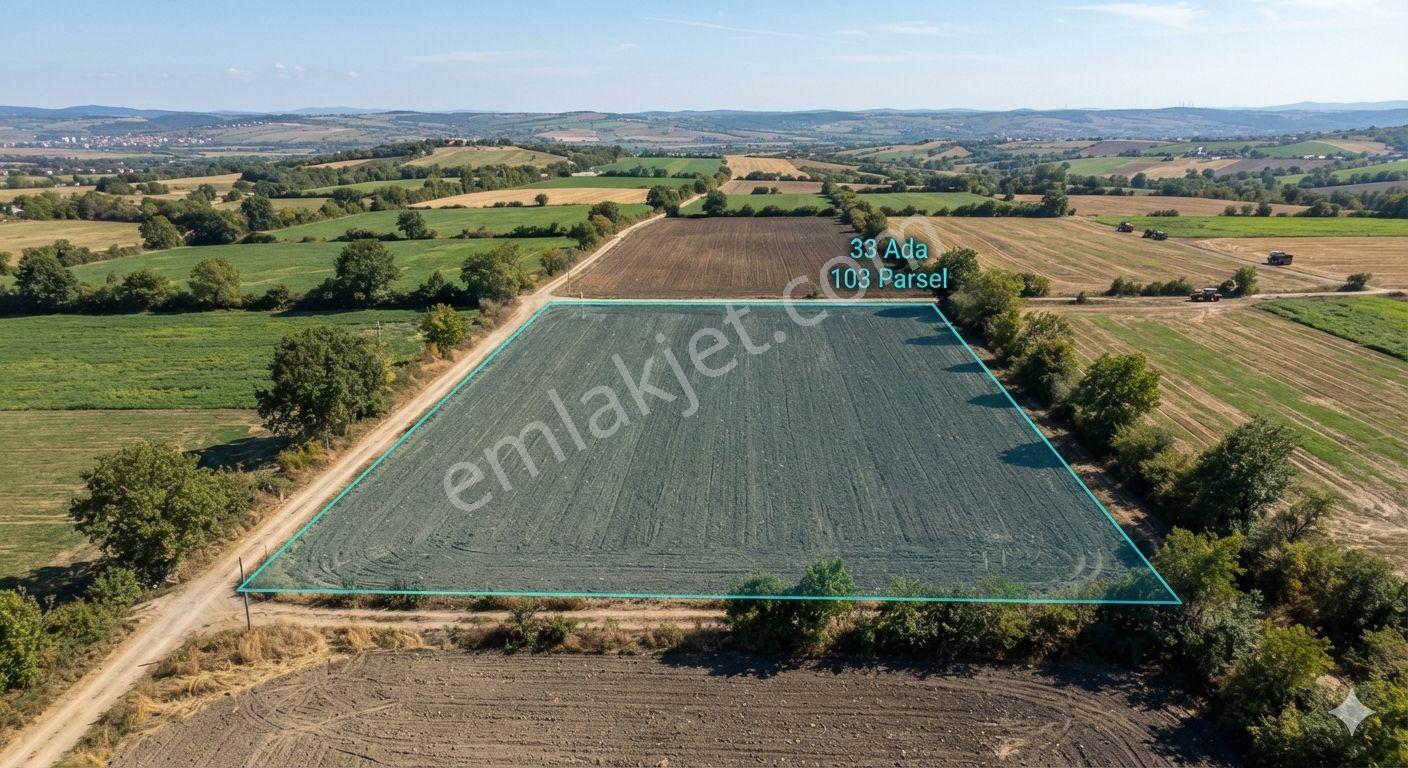 Lüleburgaz Eskibedir'De Satılık 11.054 M² Tarla