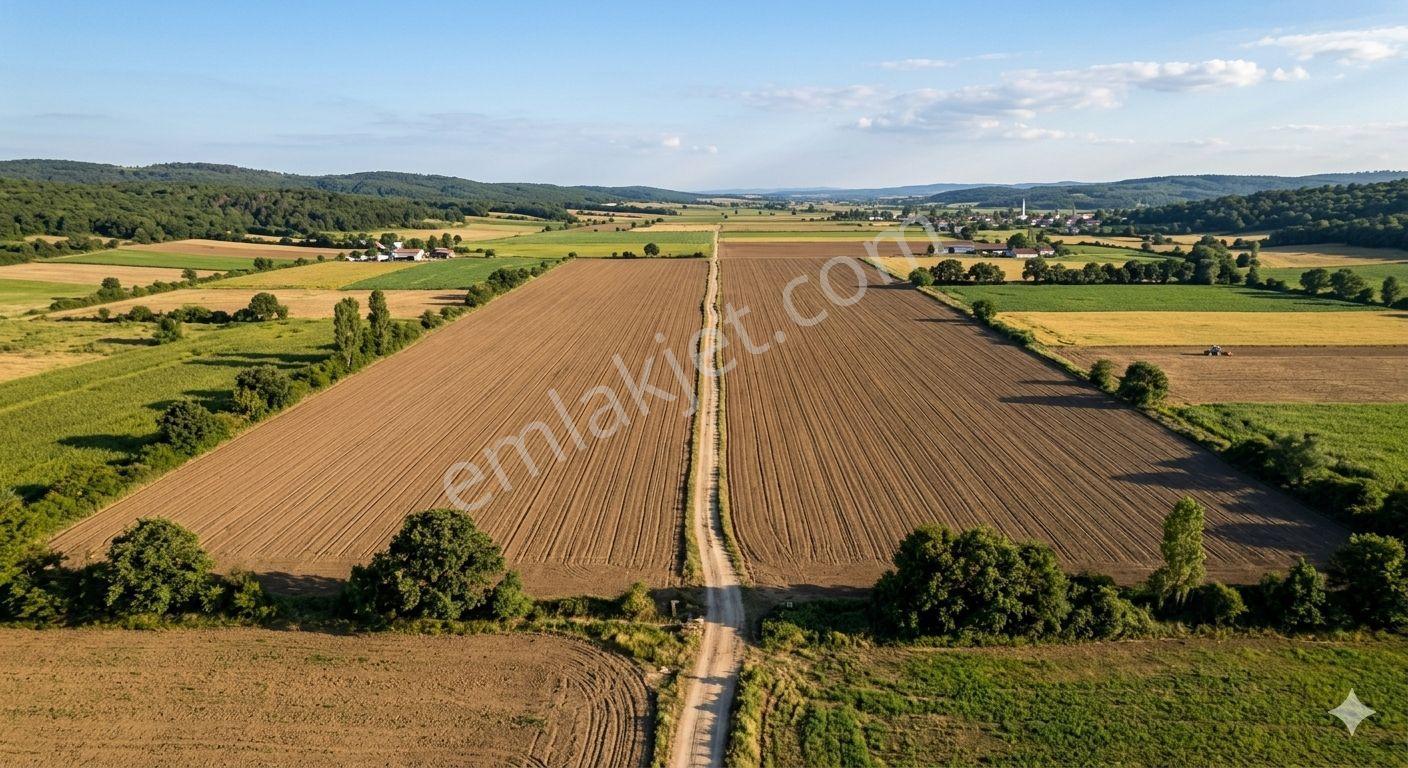 Lüleburgaz Eskibedir'de Satılık 11.054 M² Tarla — fotoğraf 2