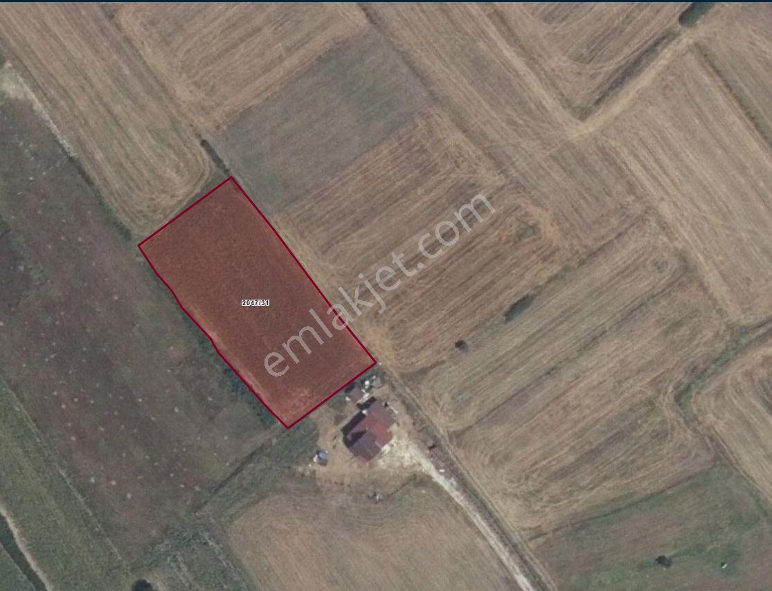 Tekirdağ Saray Yanıklık Mevkiinde Tek Tapulu 2858M2 Tarla