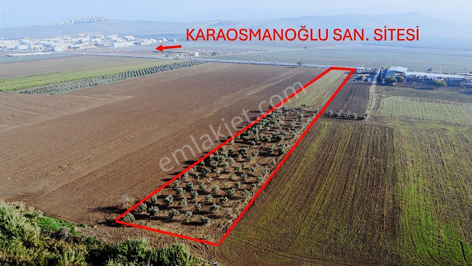 Akhisar Hürriyet Mah. Yatırımlık Arazi