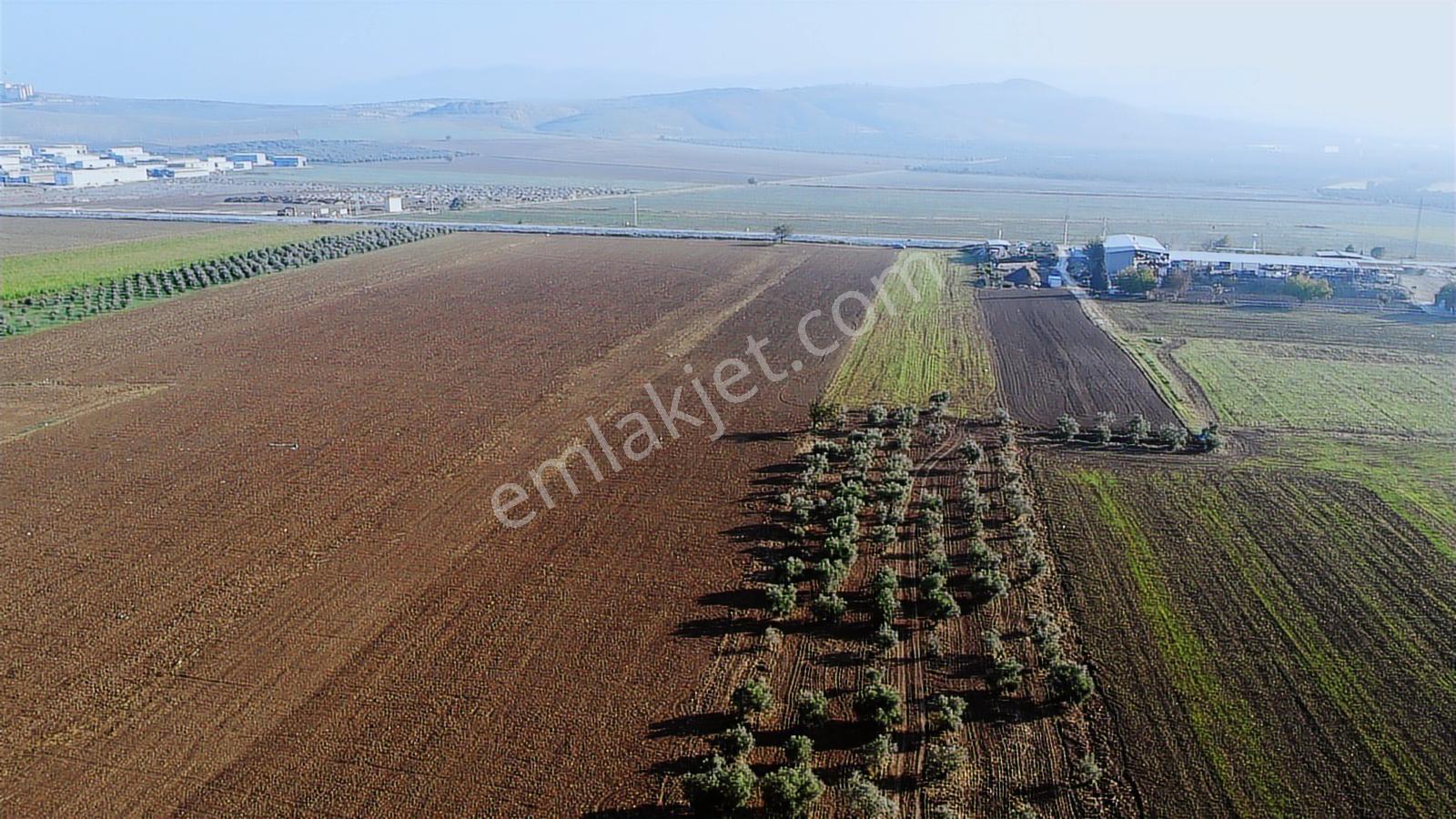Akhisar Hürriyet Mah. Yatırımlık Arazi — fotoğraf 10