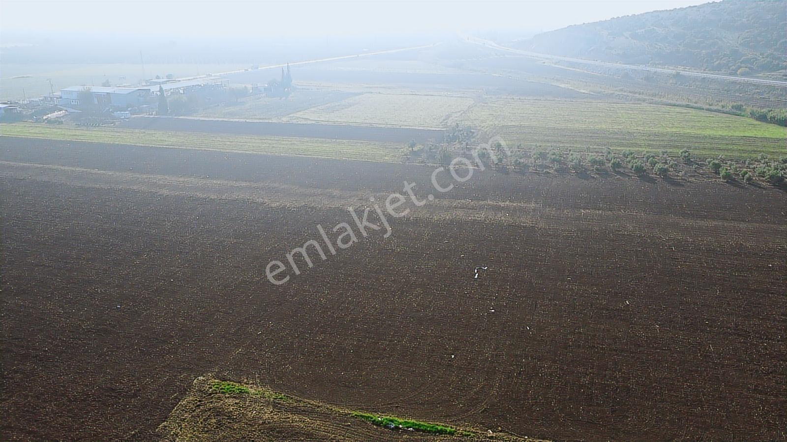 Akhisar Hürriyet Mah. Yatırımlık Arazi — fotoğraf 11