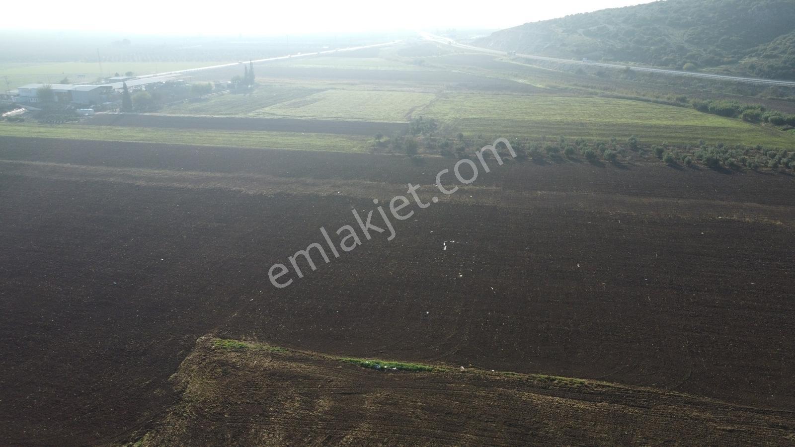 Akhisar Hürriyet Mah. Yatırımlık Arazi — fotoğraf 12