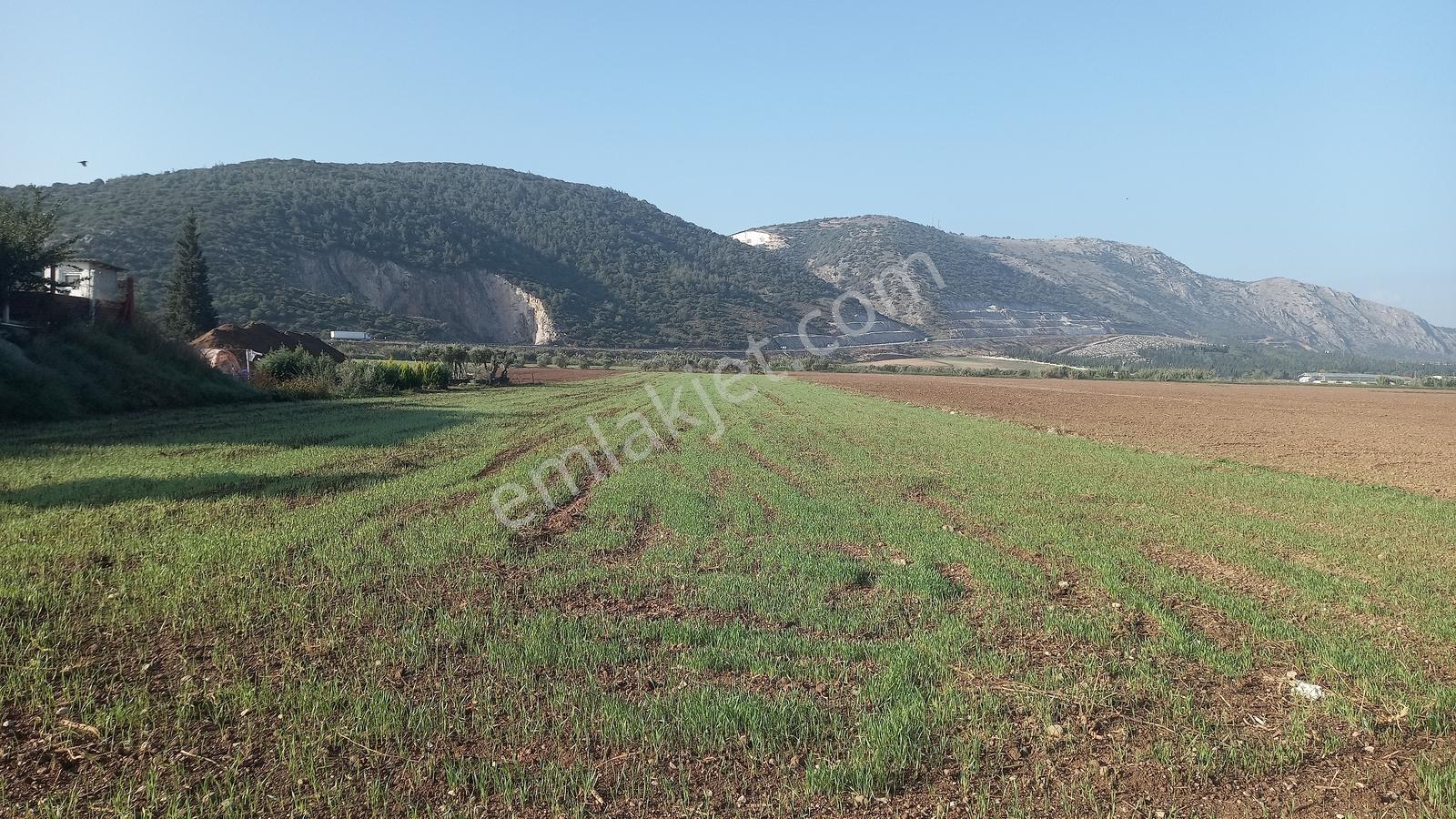 Akhisar Hürriyet Mah. Yatırımlık Arazi — fotoğraf 13