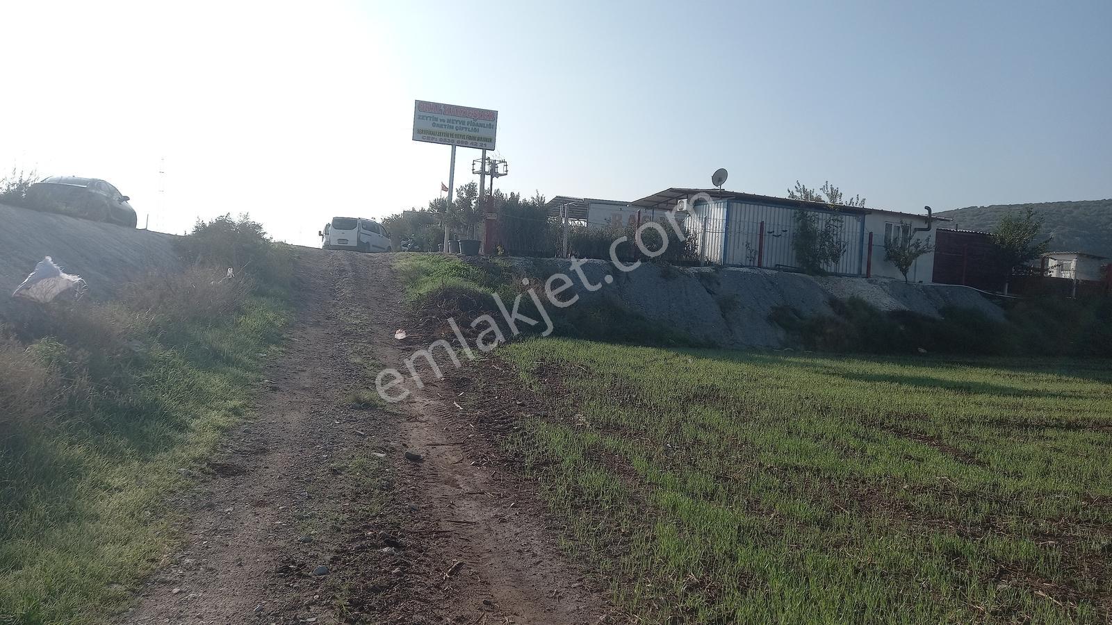 Akhisar Hürriyet Mah. Yatırımlık Arazi — fotoğraf 15