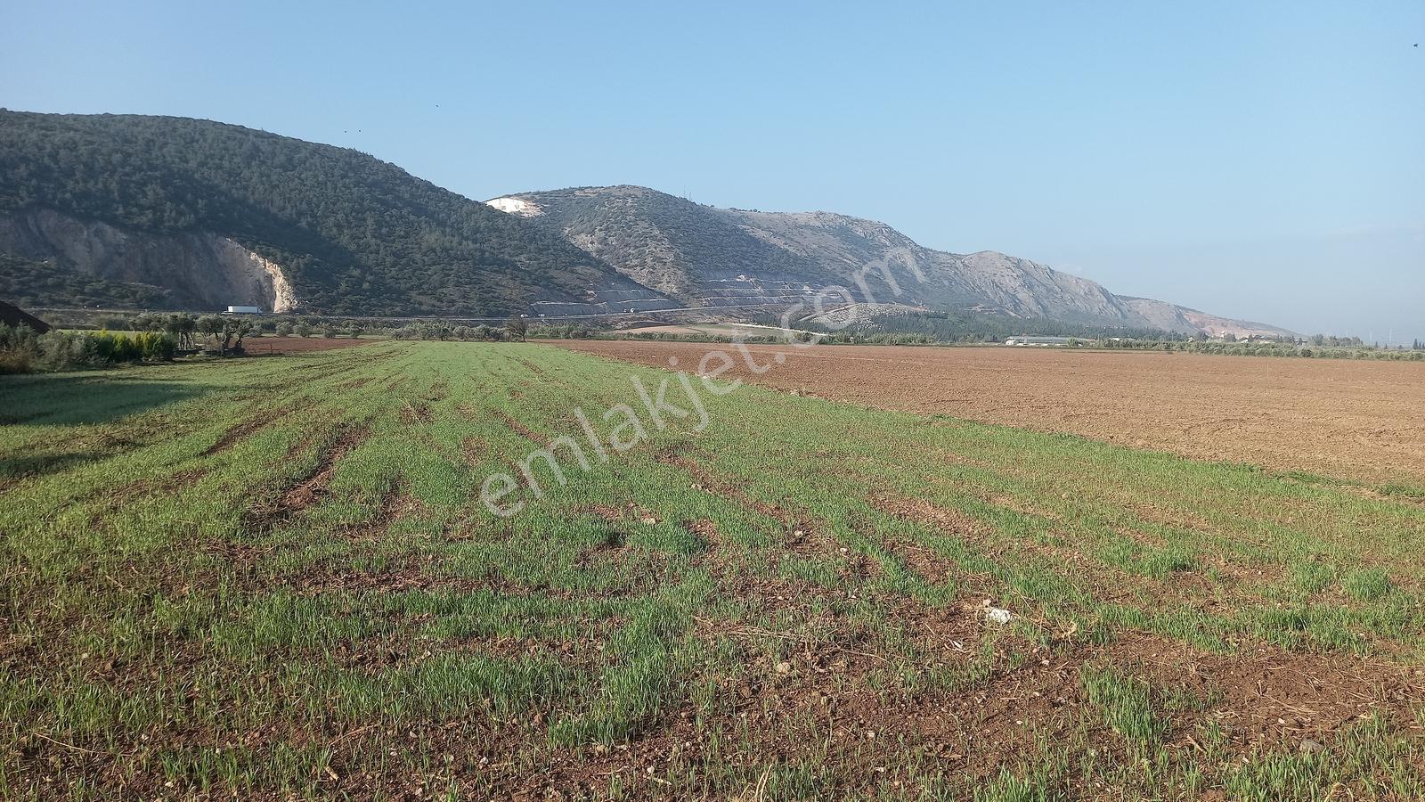 Akhisar Hürriyet Mah. Yatırımlık Arazi — fotoğraf 17