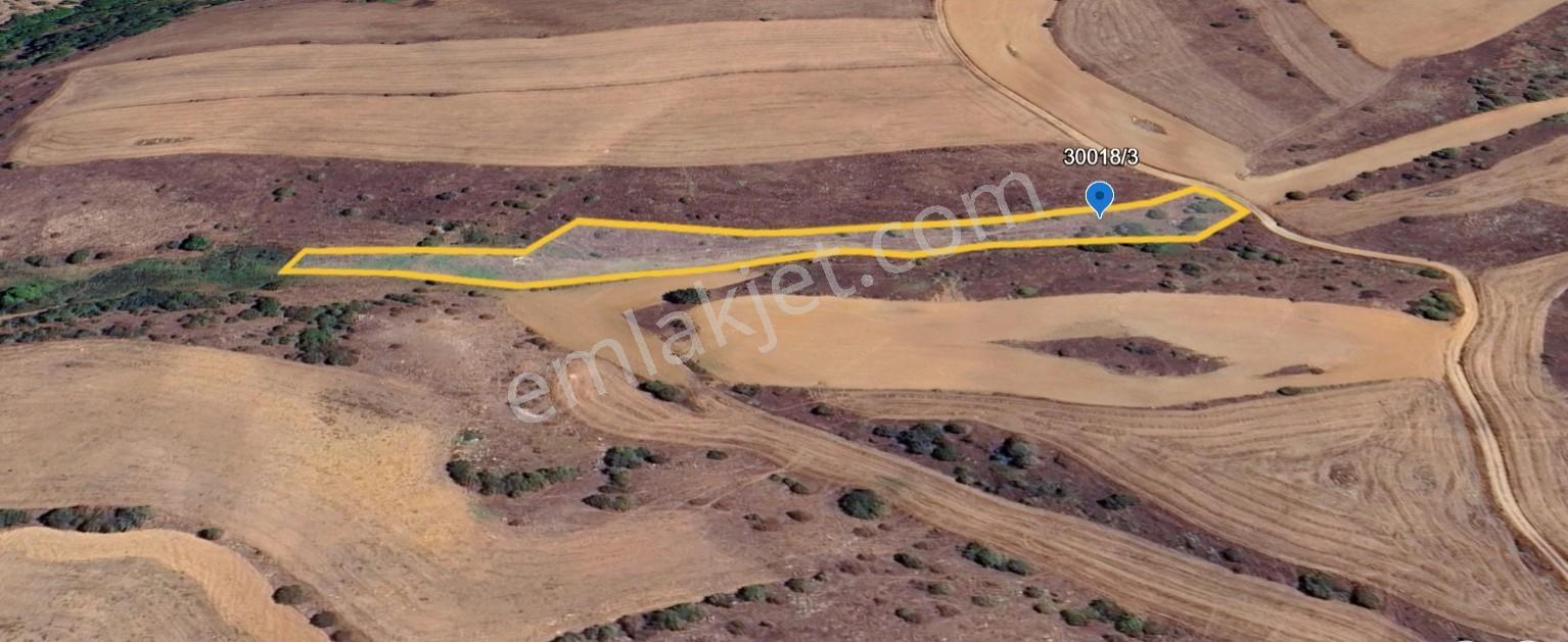 Dıalog Dağ / Tepebaşı Behçetiye 7117 M2 Satılık Fırsat Tarla — fotoğraf 6