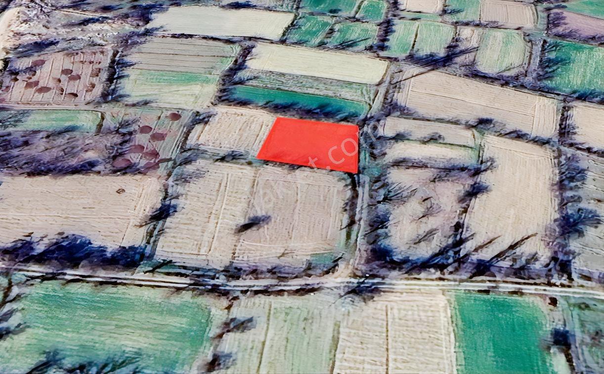 Burdur Gökçebağda 550 M² Tek Tapu Yola Yakın Tarla — fotoğraf 3