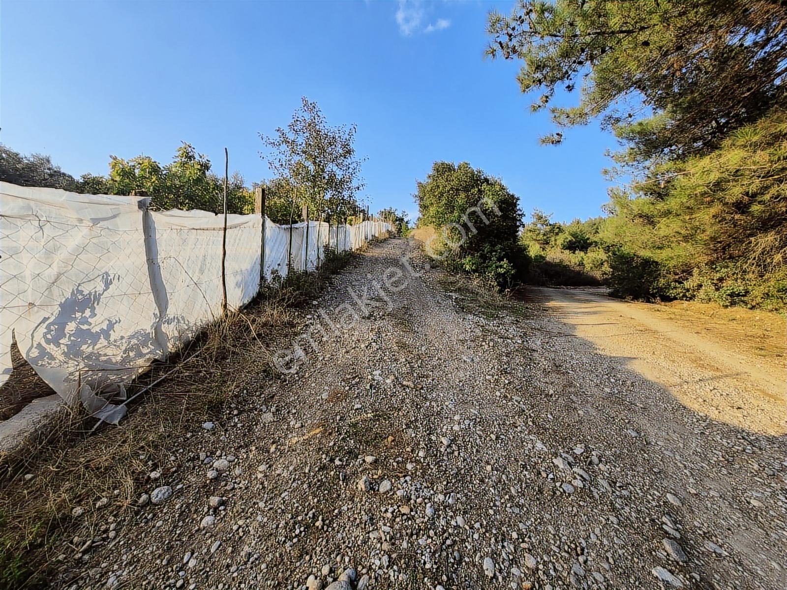 Lenora Gayrimenkül'den Yazıbaşı Mahallesinde Satılık Tarla — fotoğraf 3