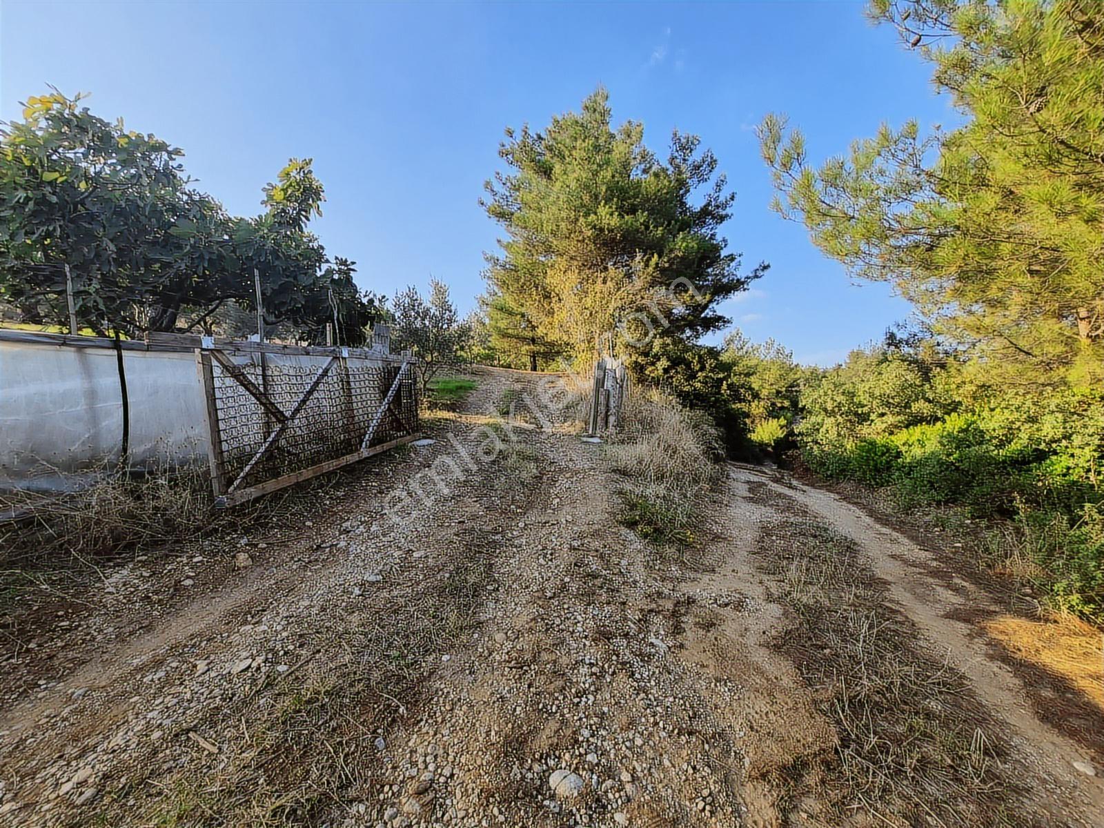 Lenora Gayrimenkül'den Yazıbaşı Mahallesinde Satılık Tarla — fotoğraf 4