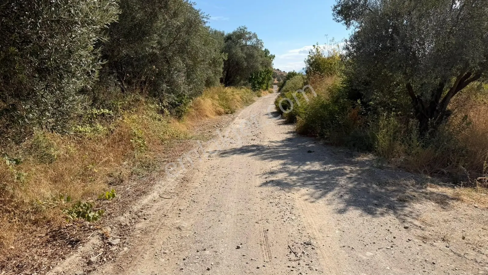Zeki Emlak'tan Yunusemre Şamar'da 2.491,43 M² Satılık Tarla — fotoğraf 3