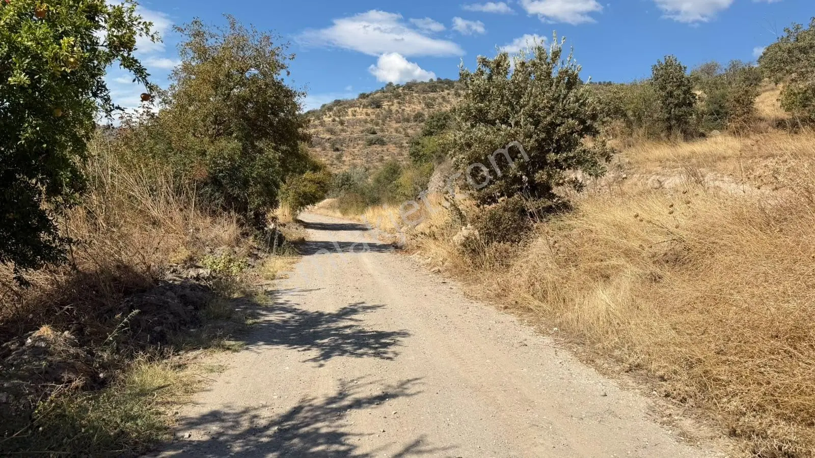 Zeki Emlak'tan Yunusemre Şamar'da 2.491,43 M² Satılık Tarla — fotoğraf 4