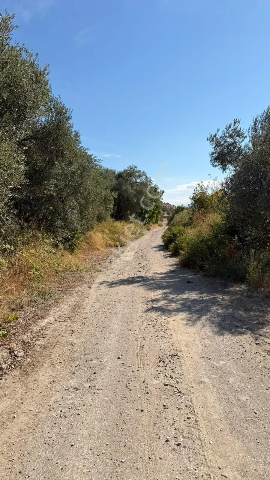 Zeki Emlak'tan Yunusemre Şamar'da 2.491,43 M² Satılık Tarla — fotoğraf 5