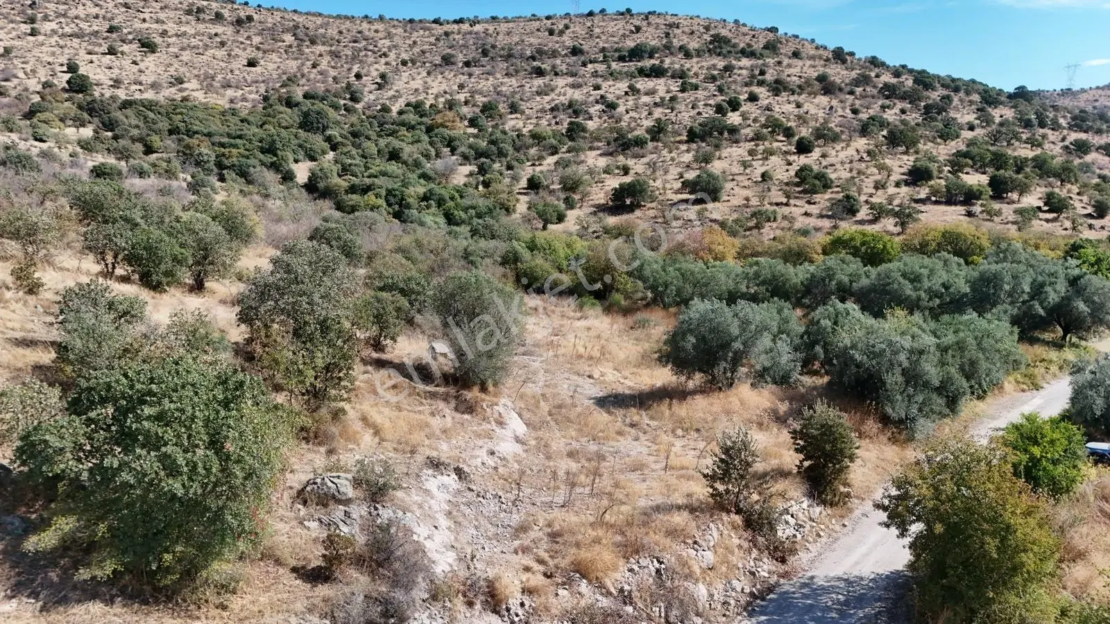 Zeki Emlak'tan Yunusemre Şamar'da 2.491,43 M² Satılık Tarla — fotoğraf 12