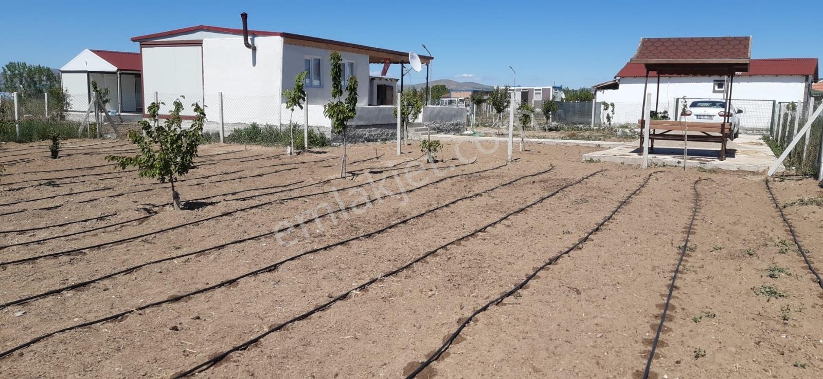 Lider Emlak'tan Çubuk Taşpınarda 900 M2 Hobi Bahçesi