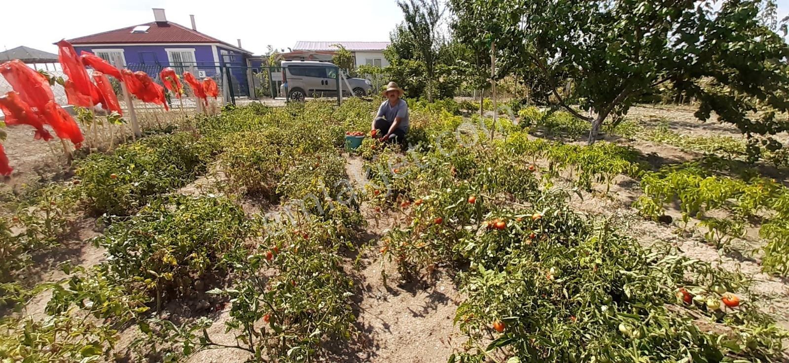 Lider Emlak'tan Çubuk Taşpınarda 900 M2 Hobi Bahçesi — fotoğraf 7