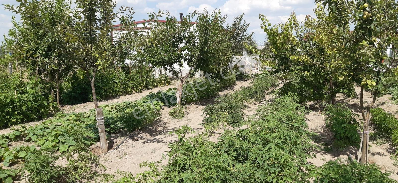 Lider Emlak'tan Çubuk Taşpınarda 900 M2 Hobi Bahçesi — fotoğraf 8