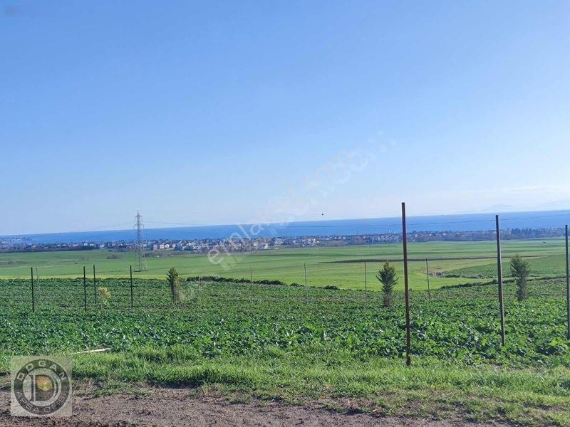 İstanbulun Yanı Başında Ful Deniz Manzaralı 300m2 Arsalar450bin — fotoğraf 6