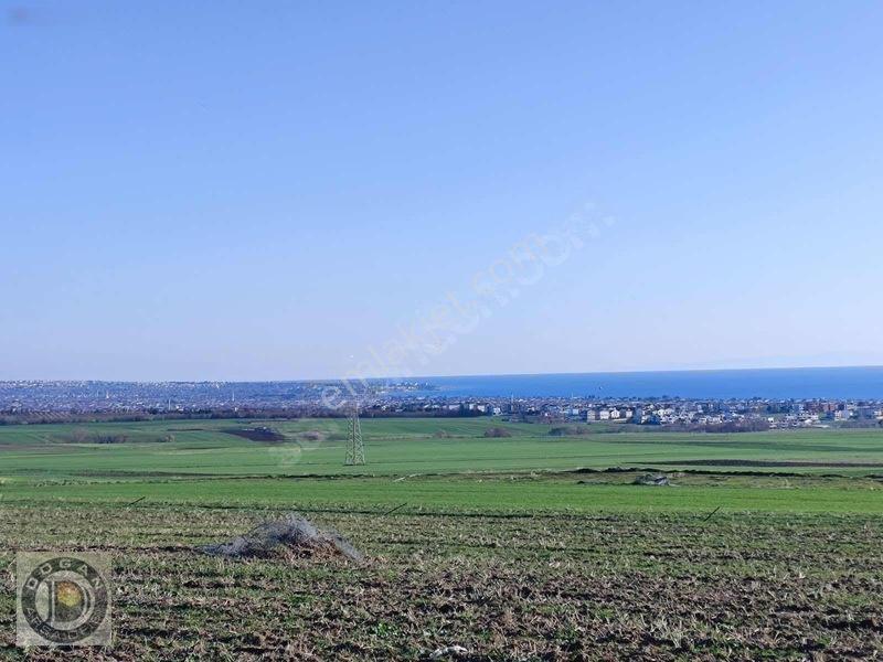 İstanbulun Yanı Başında Ful Deniz Manzaralı 300m2 Arsalar450bin — fotoğraf 16
