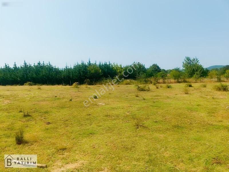 Ballı Yatırım'dan Haydariyede Köy Yerleşik Alanında 997 M2 Tarla — fotoğraf 14