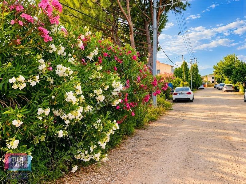 Urla Torasan'da Kupon Arsa — fotoğraf 3