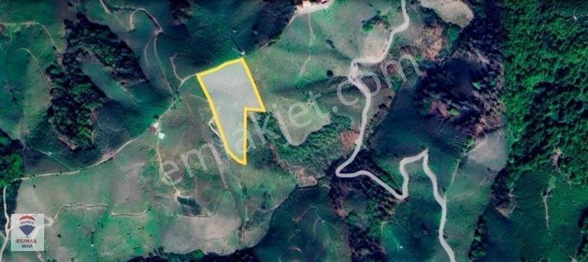 Karasu Ardıçbelide 16.510 M² | 1200 Ocak Fındık | 6-7 Ton Verim — fotoğraf 4