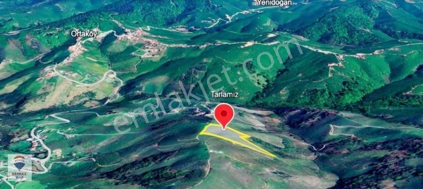 Karasu Ardıçbelide 16.510 M² | 1200 Ocak Fındık | 6-7 Ton Verim — fotoğraf 5