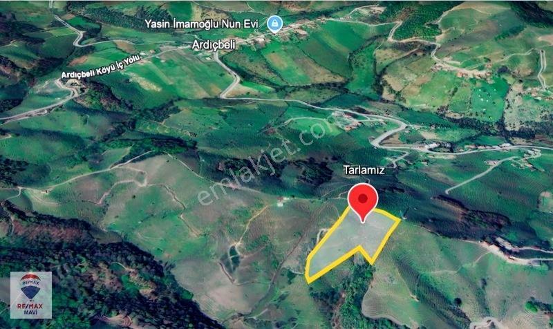 Karasu Ardıçbelide 16.510 M² | 1200 Ocak Fındık | 6-7 Ton Verim — fotoğraf 6