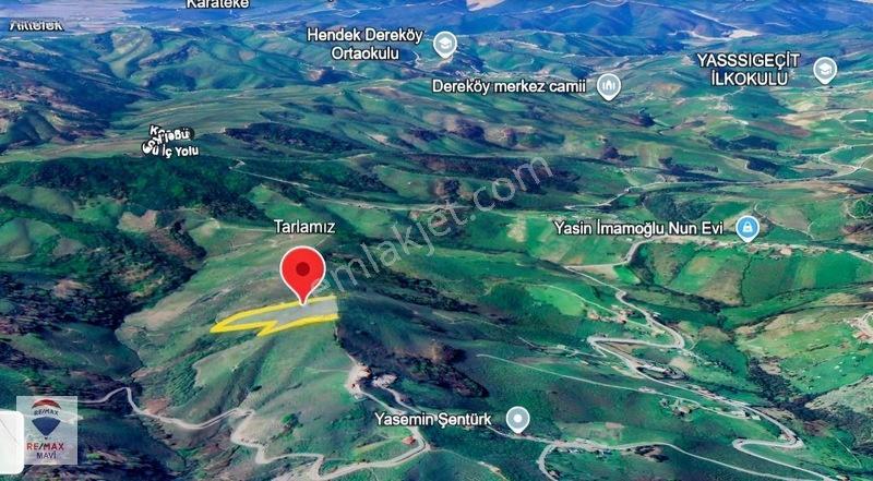 Karasu Ardıçbelide 16.510 M² | 1200 Ocak Fındık | 6-7 Ton Verim — fotoğraf 7