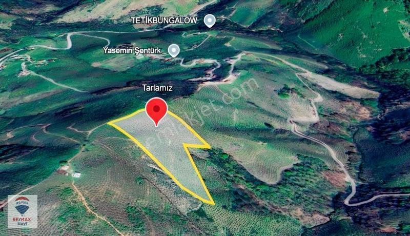 Karasu Ardıçbelide 16.510 M² | 1200 Ocak Fındık | 6-7 Ton Verim — fotoğraf 10