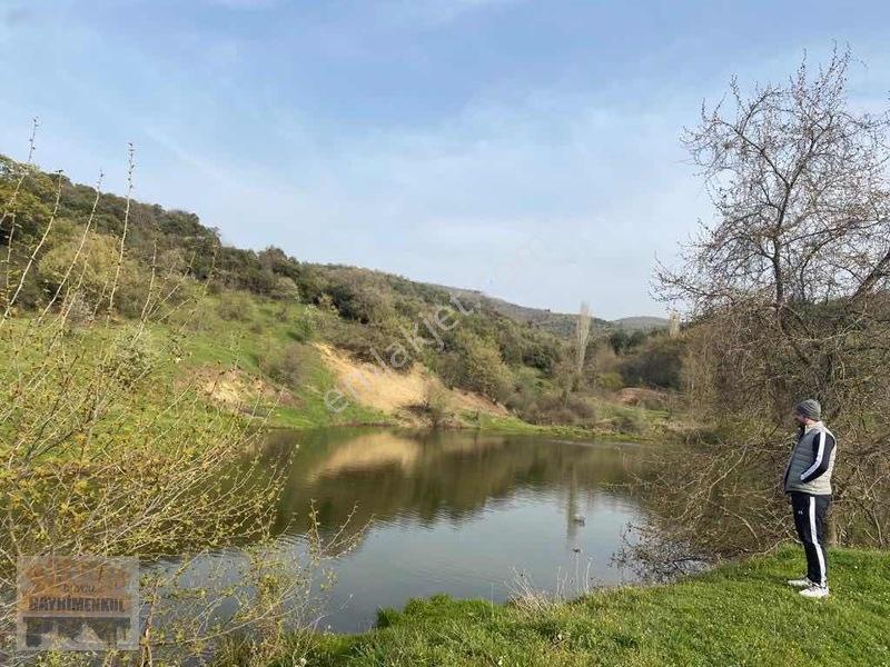 Çanakkale Lapseki Dereköy De Fırsat Arazi Tek Tapu 3.434 M2