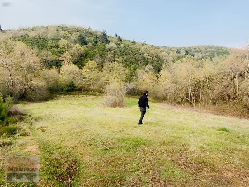 Çanakkale Lapseki Dereköy De Fırsat Arazi Tek Tapu 3.434 M2 — fotoğraf 2