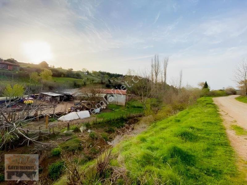 Çanakkale Lapseki Dereköy De Fırsat Arazi Tek Tapu 3.434 M2 — fotoğraf 12