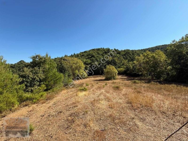 Çanakkale Lapseki Dereköy De Fırsat Arazi Tek Tapu 3.434 M2 — fotoğraf 15