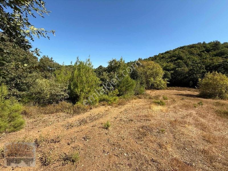Çanakkale Lapseki Dereköy De Fırsat Arazi Tek Tapu 3.434 M2 — fotoğraf 20